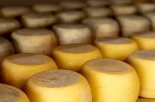 Listerosis en la elaboración de quesos