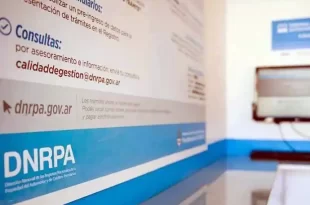 vupra pago digital de trámites automotores