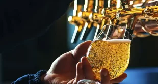 El Conicet busca transformar residuos en cerveza saludable