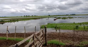 emergencia agropecuaria en Buenos Aires