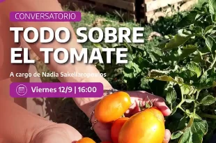 Charla sobre el tomate en el Complejo Udaondo 10 tomate