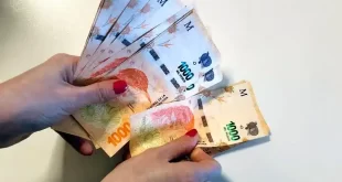 anses créditos