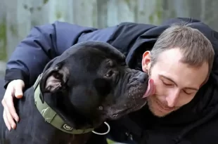 hidatidosis, una patología de origen parasitario