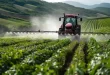Pesticidas en frutas y verduras