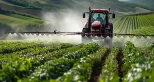 Pesticidas en frutas y verduras