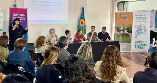 Consejo Provincial de Discapacidad