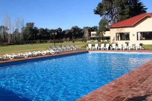 Propuestas de verano