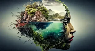 Como preocuparnos por el ambiente