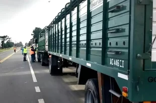 Controles exhaustivos senasa