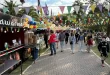 Festival de verano D’gustar