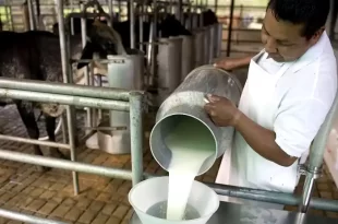 exportaciones del sector lácteo