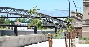 Parquización de Río