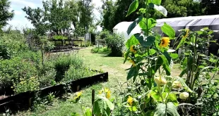 Vivero Municipal de Luján