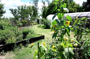 Vivero Municipal de Luján