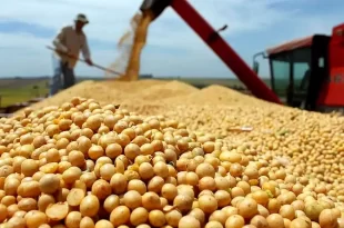 Economía y agroindustria