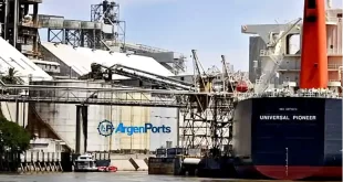 exportaciones de aceites vegetales