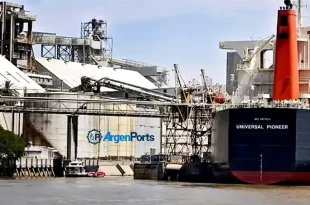 exportaciones de aceites vegetales