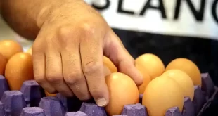 consumo mundial de huevos