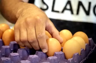 consumo mundial de huevos