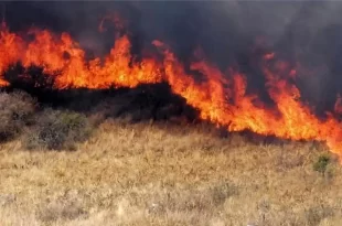 Incendio de pastizales en Ruta 5