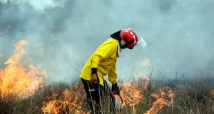 Incendios forestales