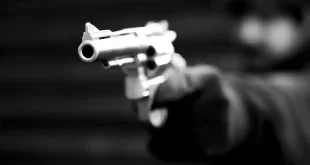 Mapa del delito en Argentina