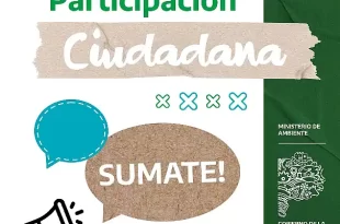 Molino Argentino y medio ambiente