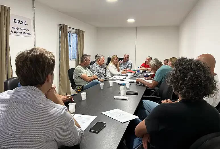 Consejo de Seguridad ciudadana