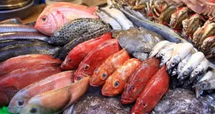 Pescado en Semana Santa