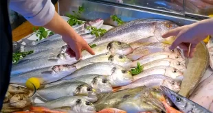 Semana Santa: claves para consumir pescado