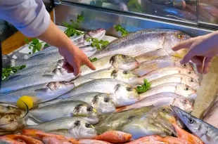 Semana Santa: claves para consumir pescado