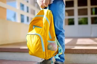 Postura en escolares