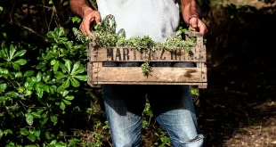 trabajo a través del ambientalismo