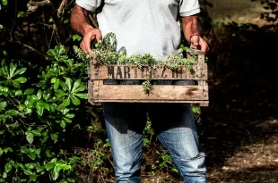 trabajo a través del ambientalismo