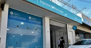 pago de patentes en ingresos públicos