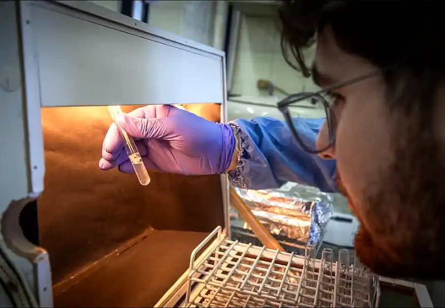 ANMAT inhabilitó a los laboratorios HLB Pharma y Ramallo 2 Laboratorios en el centro de la crisis sanitaria