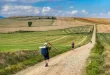 muestra sobre el Camino de Santiago