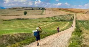 Se inaugura una muestra sobre el Camino de Santiago en el Bellas Artes