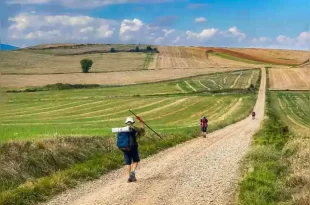 muestra sobre el Camino de Santiago