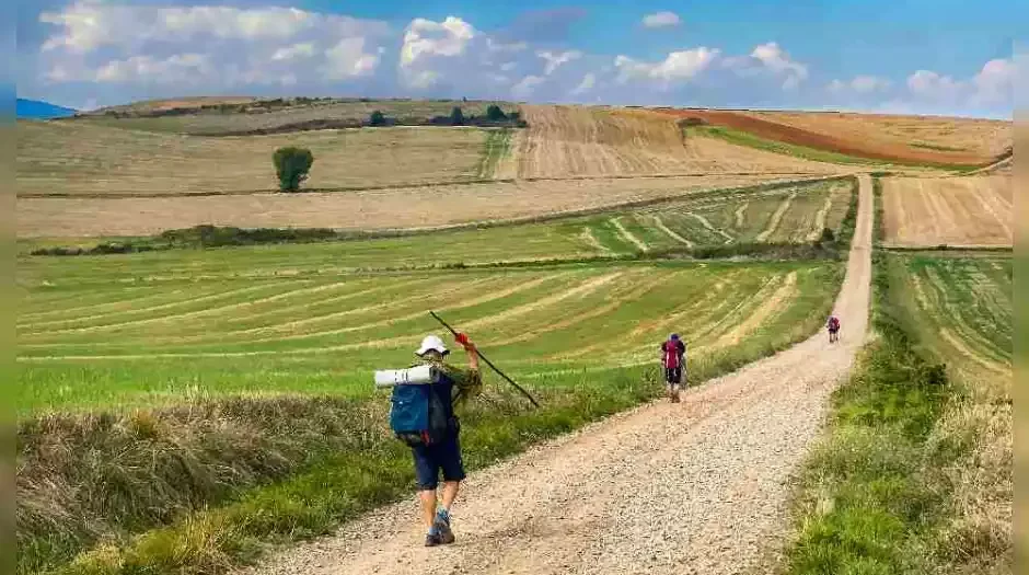 muestra sobre el Camino de Santiago