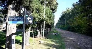 Mejoramiento vial Carlos Keen