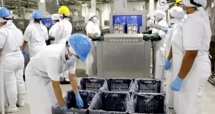 UNLu investigación clave para la seguridad alimentaria