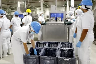 UNLu investigación clave para la seguridad alimentaria