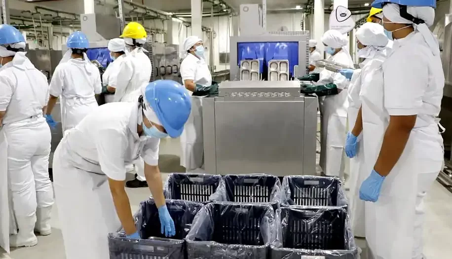 UNLu investigación clave para la seguridad alimentaria