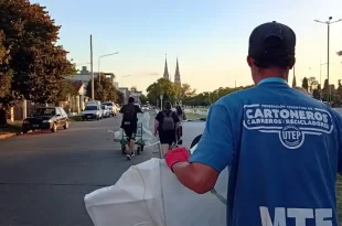 Programa de residuos dia verde
