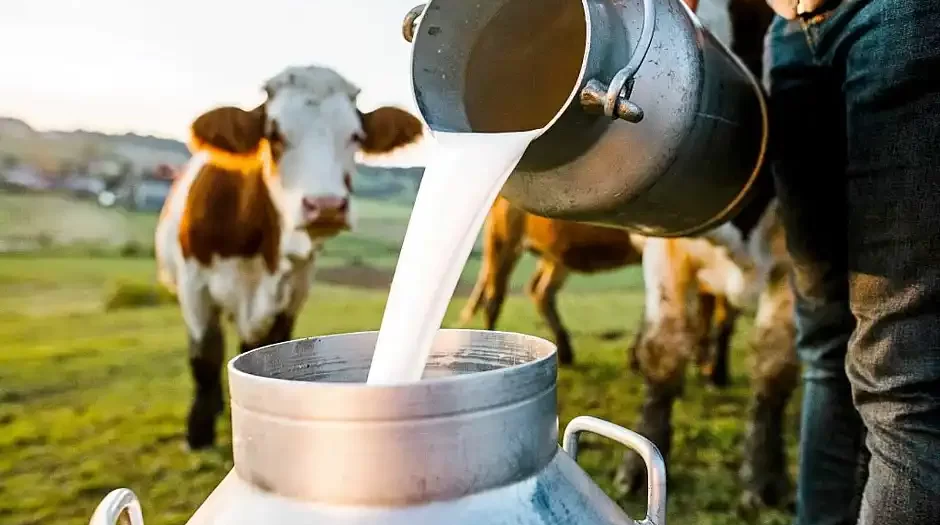 Exportaciones de leche baten récord