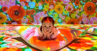 Muestra Monet Inmersivo llega a Luján con una experiencia artística única