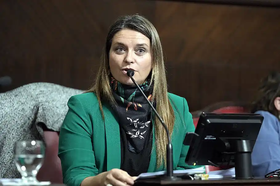 IOMA: piden informes y respuestas ante la situación de más de 2 millones de afiliados 1 Senadora provincial Nerina Neumann sobre IOMA