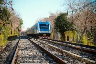 Trenes Argentinos incorpora una parada en Cortines