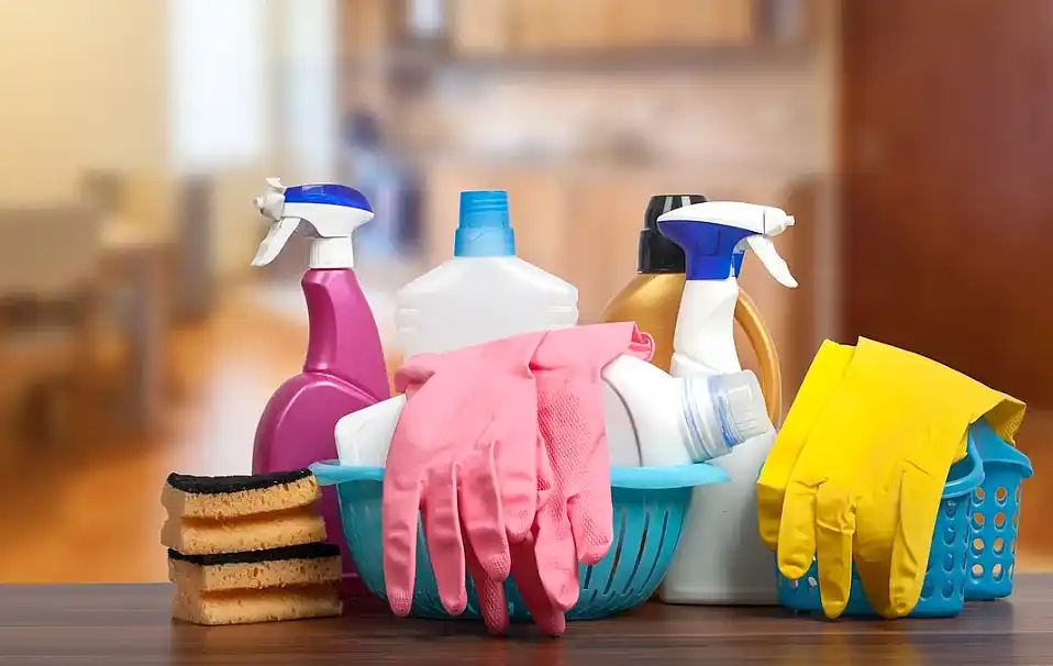 ARCA cambia el recibo de sueldo para empleadas domésticas: cómo funcionará 1 ANMAT productos de Clean Lab